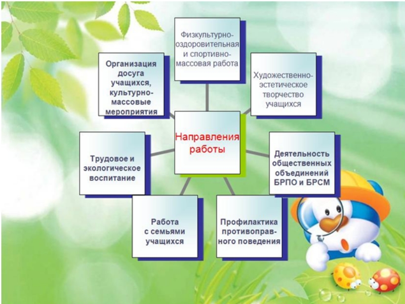 Лучший проект по организации шестого школьного дня